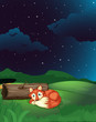 A fox lies next to wood in night