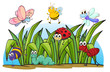 Various insects and grass
