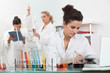 Experiment in the Laboratory