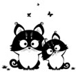 cat black