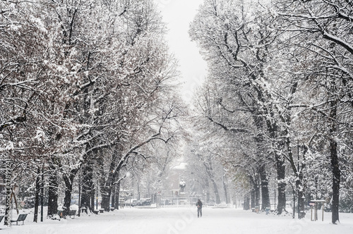 Photo: winter snowy landscape winter snowy landscape