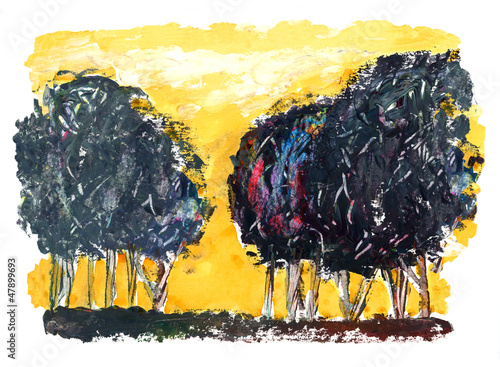 Photo: Forest Forest