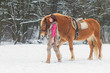 Photo: Woman with a Horse the Snow Woman with a Horse the Snow