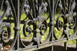 Detail eines schmiedeeisernen Zauns