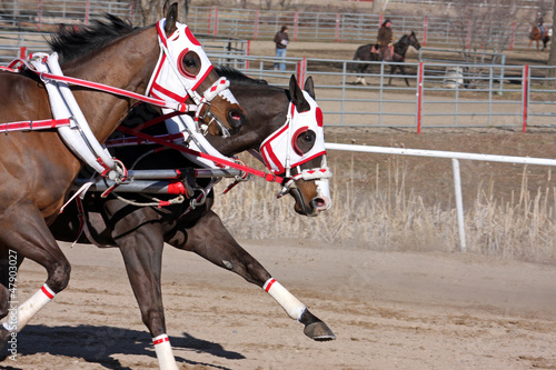 Photo: chariot racing chariot racing