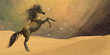 Wilderness Horse
