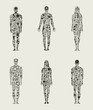 Vektor: Collection the person Collection the person