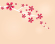 Japanese cherry twig