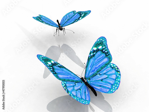Illustration: the beautiful butterfly with wings the beautiful butterfly with wings