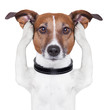 covering ears dog
