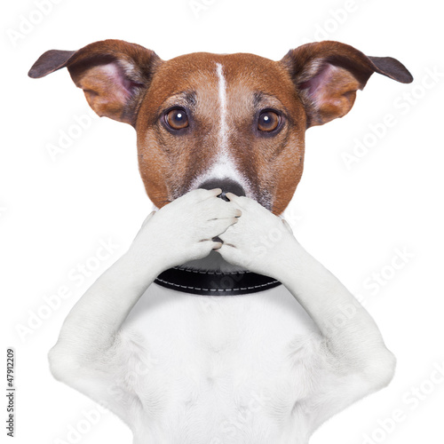 Photo: covering mouth dog covering mouth dog