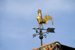 Goldener Wetterhahn