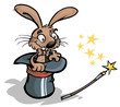 Funny Magic Rabbit and Magic wand.