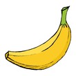 Hand drawn, vector, cartoon illustration of banana
