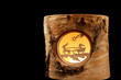 Little Santa and Reindeer scene in a birch stump (isolated)