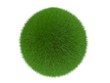 Ball Gras
