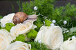 Brautstrauß mit Schnecke