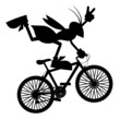 Freestyle bike