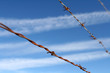 Barbed Wire Against a Blue Sky