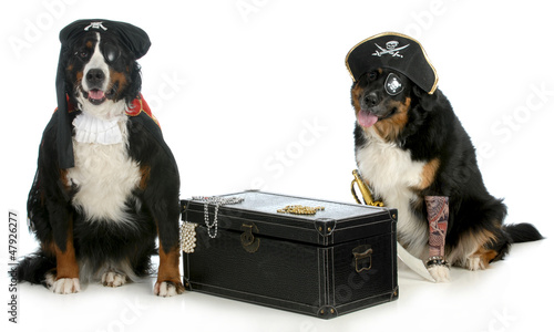 Photo: two pirates two pirates