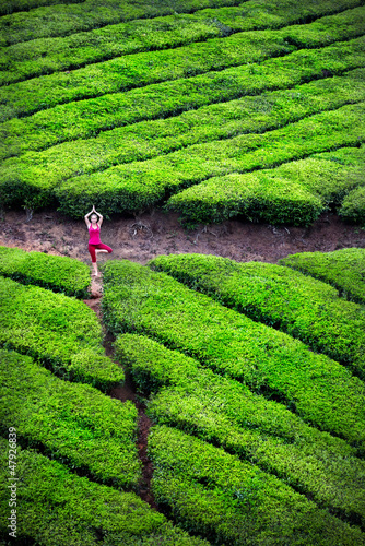 Photo: Yoga in tea plantations Yoga in tea plantations