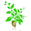 Illustration: Ecology concept.Nature abstract Ecology concept.Nature abstract
