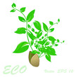 Vector: Ecology concept.Nature abstract.Vector Ecology concept.Nature abstract.Vector