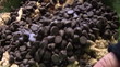 Mixing Cookie Dough