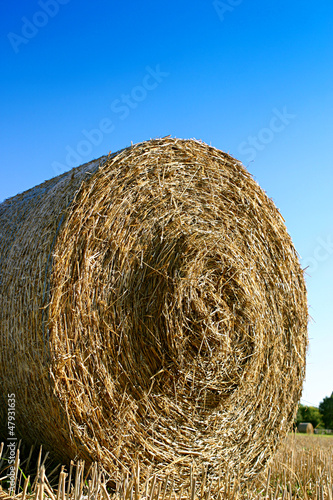 Photo: Hay bale closeup Hay bale closeup
