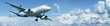 Jet plane in flight. Panoramic composition.