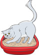 Cat  in the tray