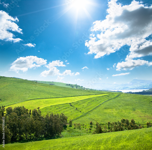 Photo: Grassland, Blue Sky And Sun Grassland, Blue Sky And Sun