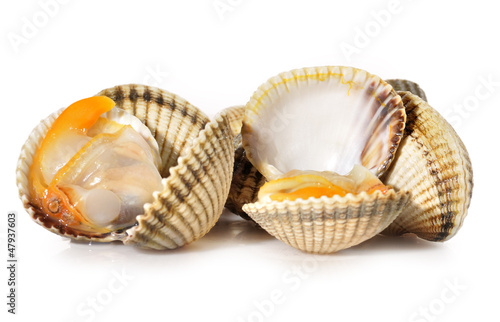Photo: Berberechos en sus conchas. Berberechos en sus conchas.