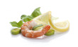 Foto: Shrimp's tail Shrimp's tail