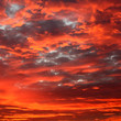 Ciel flamboyant 