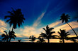 Foto: Tropical sunset in the warm summer light Tropical sunset in the warm summer light