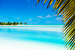 Foto: Beautiful Tropical Lagoon with palm tree framing shot Beautiful Tropical Lagoon with palm tree framing shot