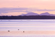 Grants Lagoon