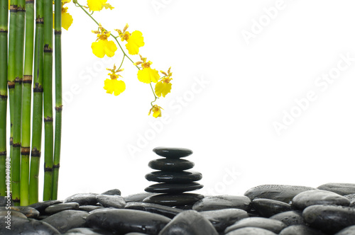 Photo: Yellow orchid- spa concept Yellow orchid- spa concept