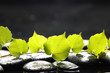 Photo: Still life with green ivy and zen stones on dark background. Still life with green ivy and zen stones on dark background.