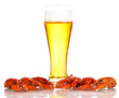 Tasty boiled crayfishes and beer isolated on white