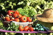 fresh vegetables and secateur