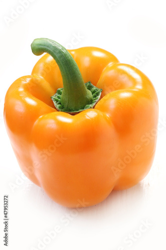 Photo: Paprika Paprika
