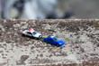 青い車をパトカーが追跡している