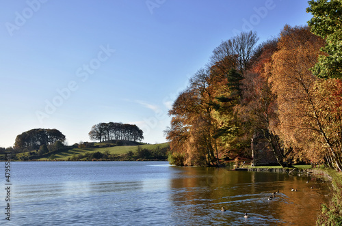 Photo: Trees at Talkin Tarn, on an Autumn day. Trees at Talkin Tarn, on an Autumn day.