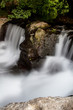 torrente
