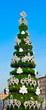 Decorative fir tree on street