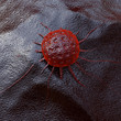 Illustration: cancer - close up - 3D render cancer - close up - 3D render