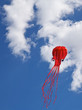 Fun flying a kite