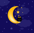 background with clouds, the new moon and cute owl